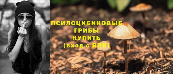 наркотики Алексин