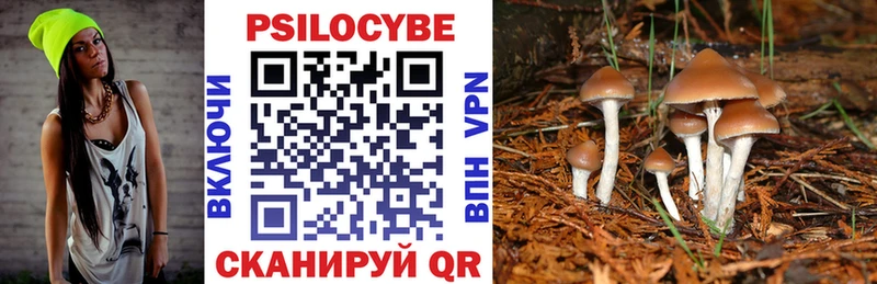 Псилоцибиновые грибы MAGIC MUSHROOMS  Купить где  Ковылкино 